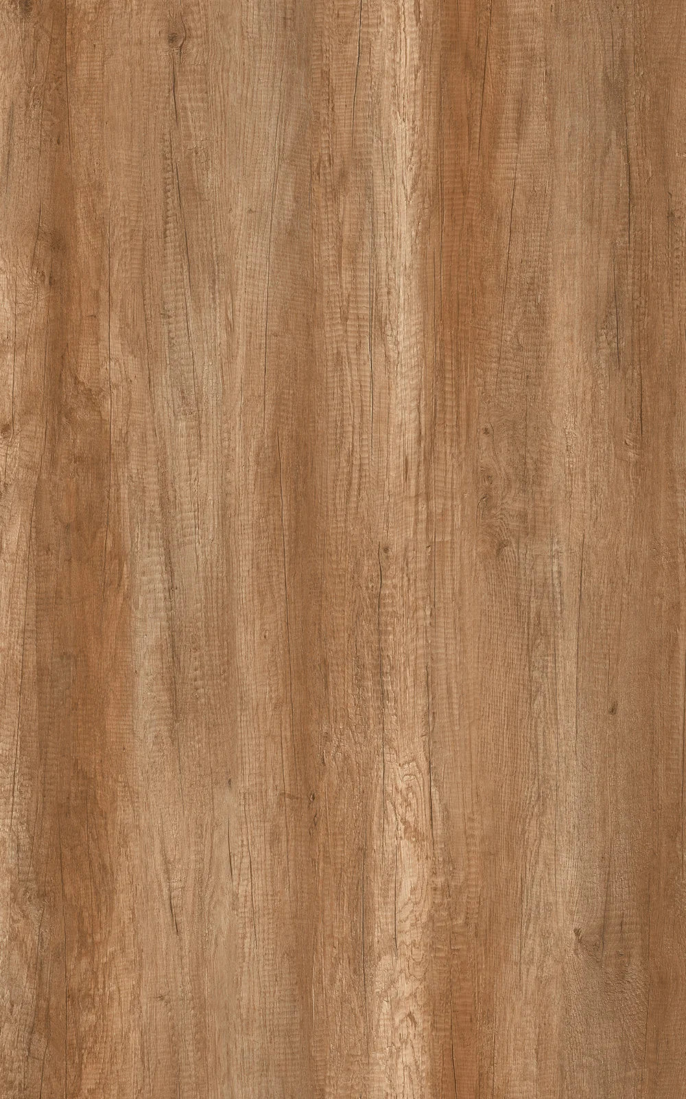 79, 1 ოვალიანი -800 სიგანის DSP 36 3660, 3660x800x36